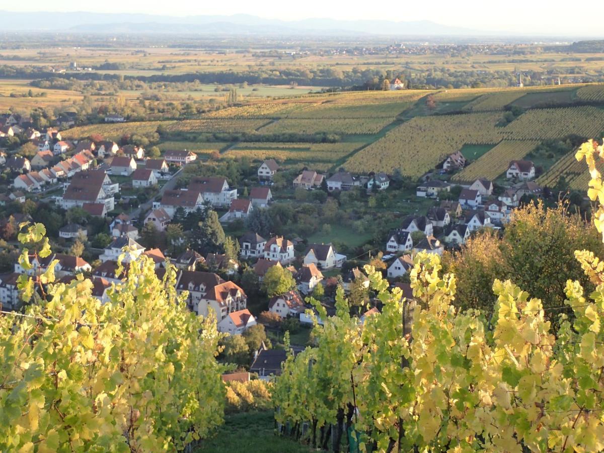 Villa/Appartement Au Coeur Des Vignes *** Barr Buitenkant foto