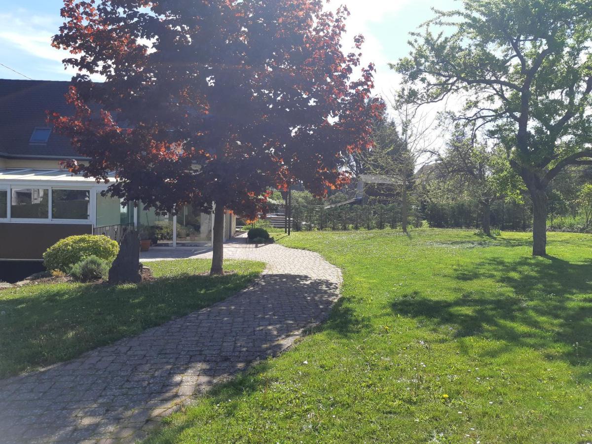 Villa/Appartement Au Coeur Des Vignes *** Barr Buitenkant foto