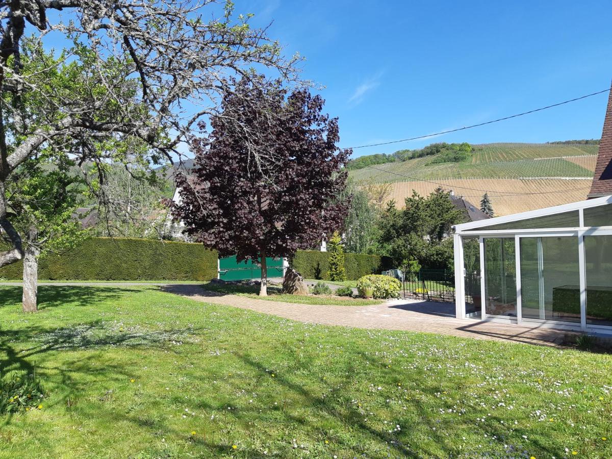 Villa/Appartement Au Coeur Des Vignes *** Barr Buitenkant foto